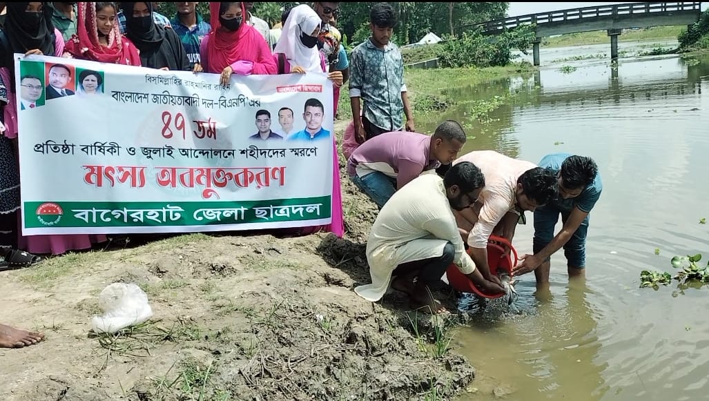 বিএনপির প্রতিষ্ঠা বার্ষিকী উপলক্ষ্যে ছাত্রদলের মৎস অবমুক্তকরণ ।