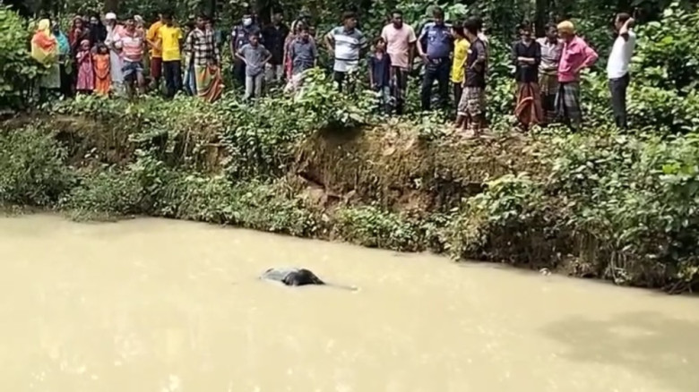 গজারী বনের ভেতর ডোবায় ভাসছিল যুবকের লাশ।