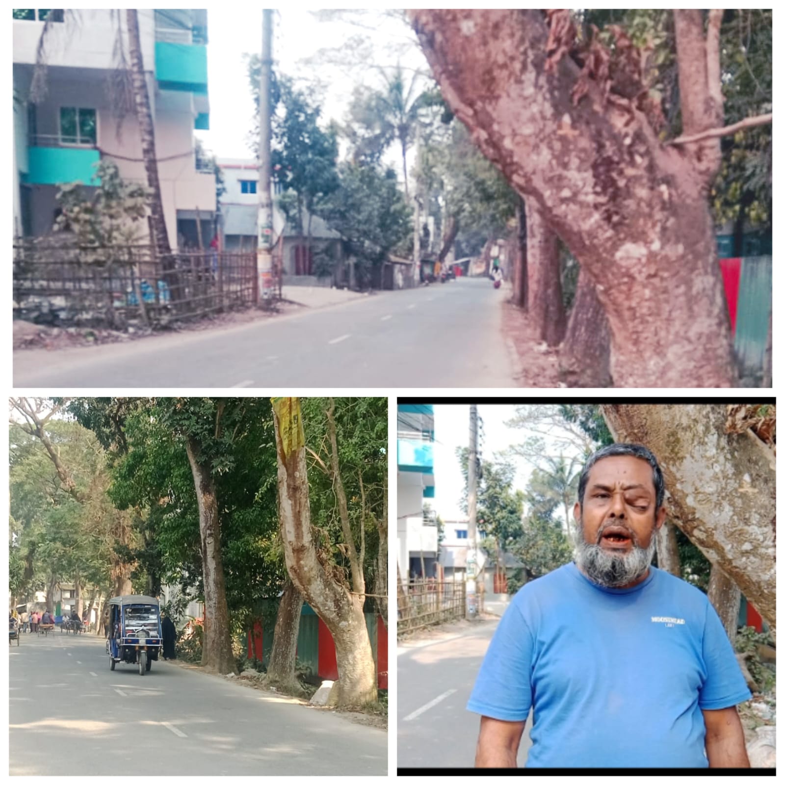 প্রধান সড়কে হেলে থাকা গাছে দূর্ঘটনার আশংকা! দেখার কেউ নাই