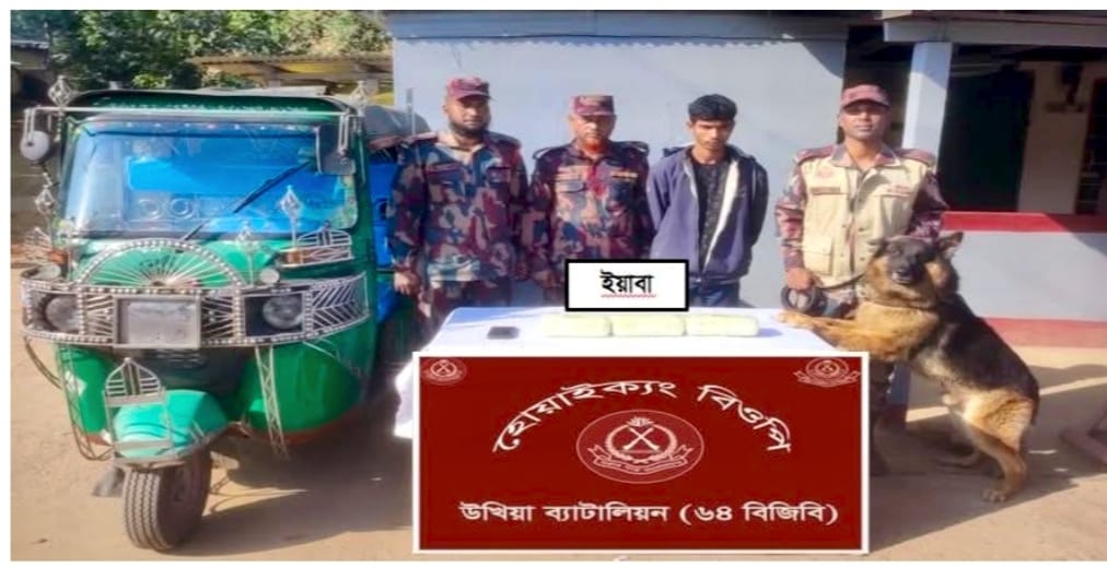 সিএনজি যোগে ইয়াবা পাচারকালে ৩০,হাজার ইয়াবাসহ চালক আটক