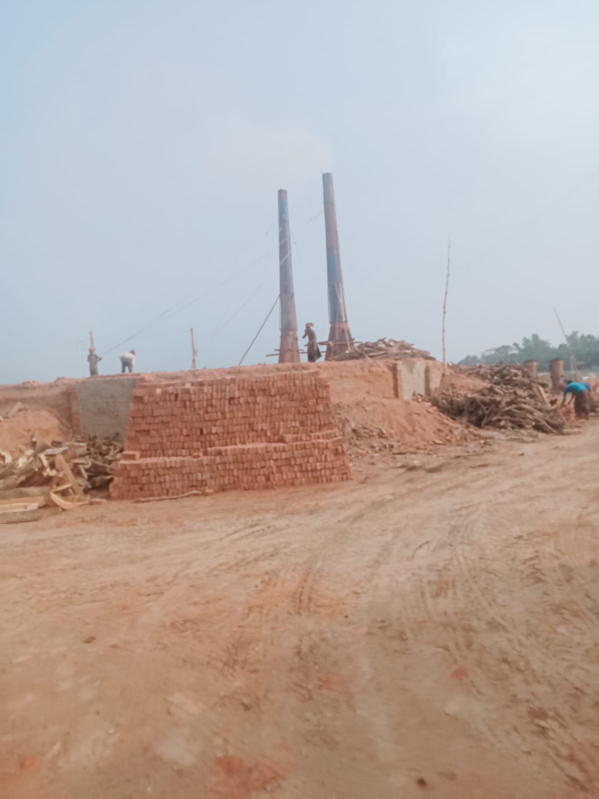 কমলনগরে প্রশাসনের নাকের ডগায় অবৈধ ইটভাটা: বিপন্ন পরিবেশ, মরণফাঁদে শিক্ষার্থীরা