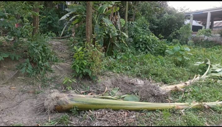 টাঙ্গাইলের মির্জাপুরে জমিজমা বিরোধে থানায় পাল্টাপাল্টি অভিযোগ