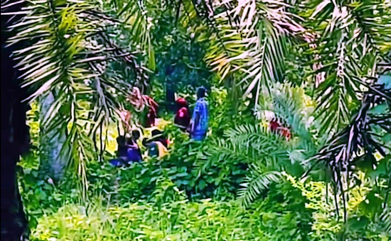 চাঁপাইনবাবগঞ্জ গোমস্তাপুর সীমান্তে ২৮ বাংলাদেশিকে পুশ-ইনের চেষ্টা: বিজিবির কড়া নজরদারি, ব্যর্থ বিএসএফ