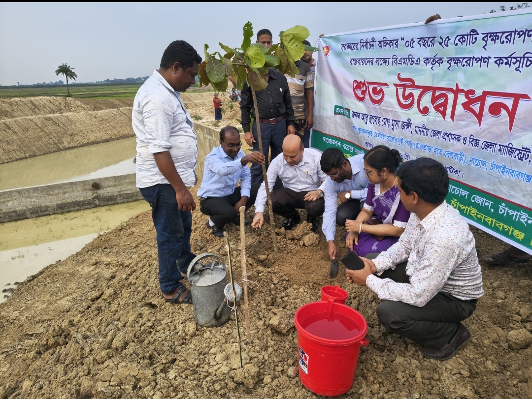 চাঁপাইনবাবগঞ্জে বিএমডিএ’র বৃক্ষরোপণ কর্মসূচির উদ্বোধন, ৫ বছরে ২৭ লাখ গাছ লাগানোর পরিকল্পনা