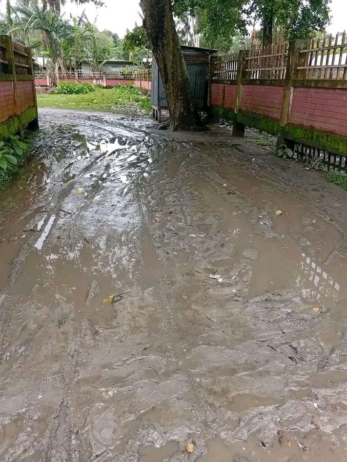 উলিপুরে সরকারি প্রাথমিক বিদ্যালয় সহ গুরুত্বপূর্ণ সড়কের বেহাল দশা, চরম দুর্ভোগে শিক্ষার্থী ও সাধারণ মানুষ।