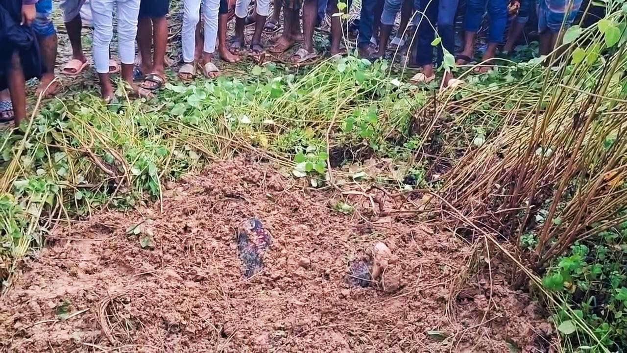 গাজীপুর ইউনিয়ন ভুতুলিয়া গ্রামের কদম আলীর স্ত্রী।