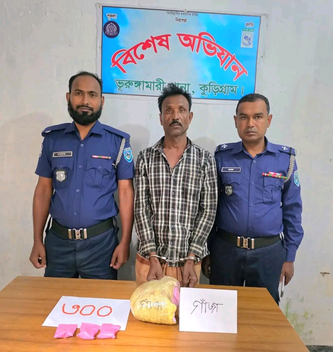 ভুরুঙ্গামারীতে ইয়াবা ও গাঁজাসহ মাদক কারবারি গ্রেফতার