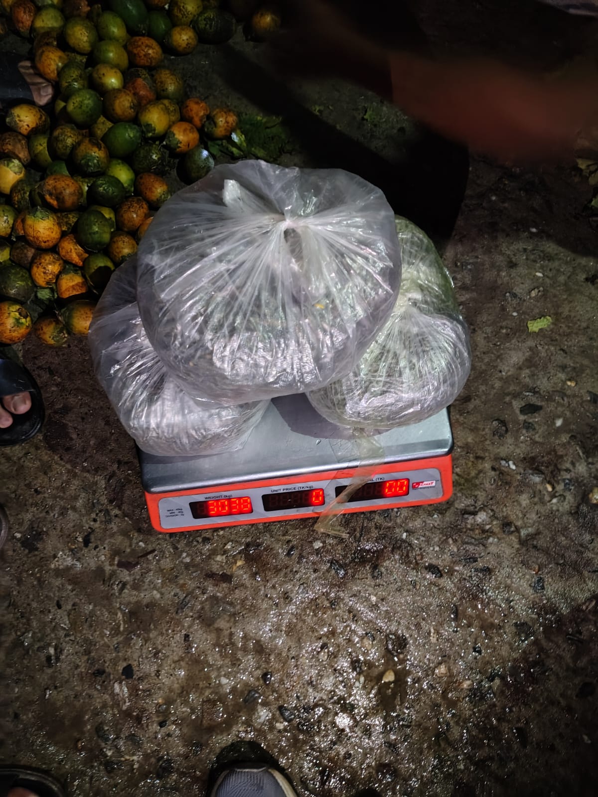 ভূরুঙ্গামারীতে ৩ কেজি গাঁজাসহ নারী আটক, সহযোগী চালকও গ্রেফতার