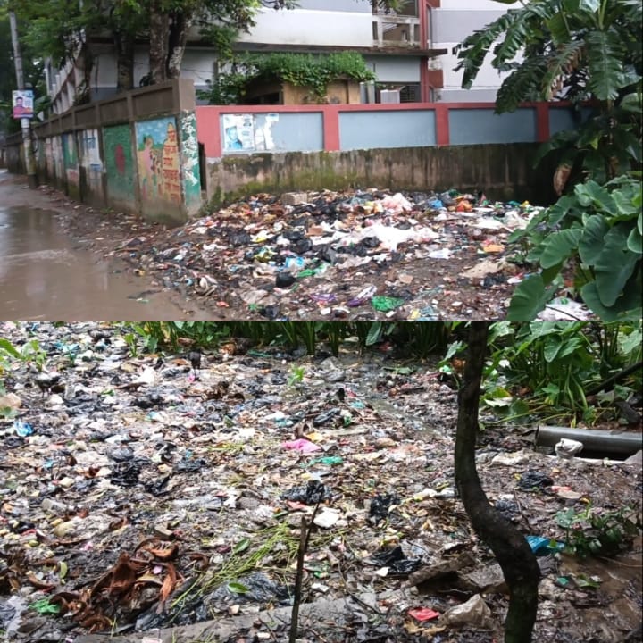 নাসিরনগরের বিভিন্ন সড়কের পাশে ময়লার স্তূপ, ‎তীব্র দুর্গন্ধে বাড়ছে জনদুর্ভোগ ​